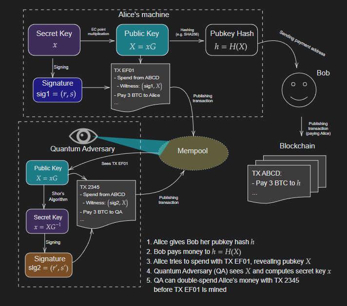 image-20260302110958880