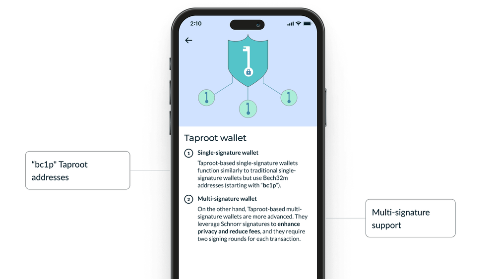 large_Taproot_wallet_intro